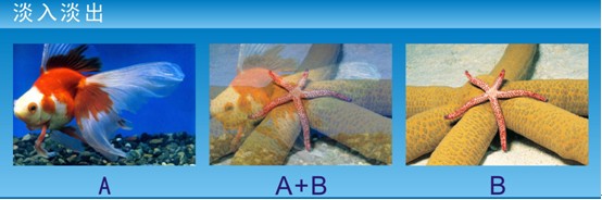 唯奧視訊首創(chuàng)LED高清切換臺(tái)LVS5066