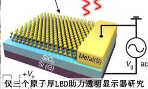 g(sh)ǰ:HԭӺLED͸@ʾо