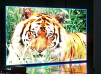 雷曼光電LM-P16全彩戶外廣告顯示屏