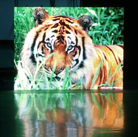 雷曼光電LM-P6全彩戶內(nèi)廣告顯示屏